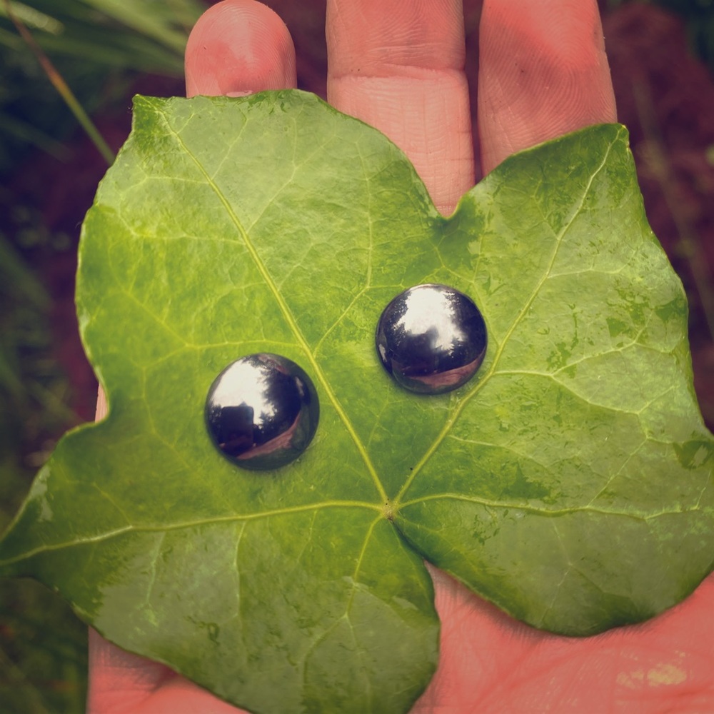 Magnetic stud earrings